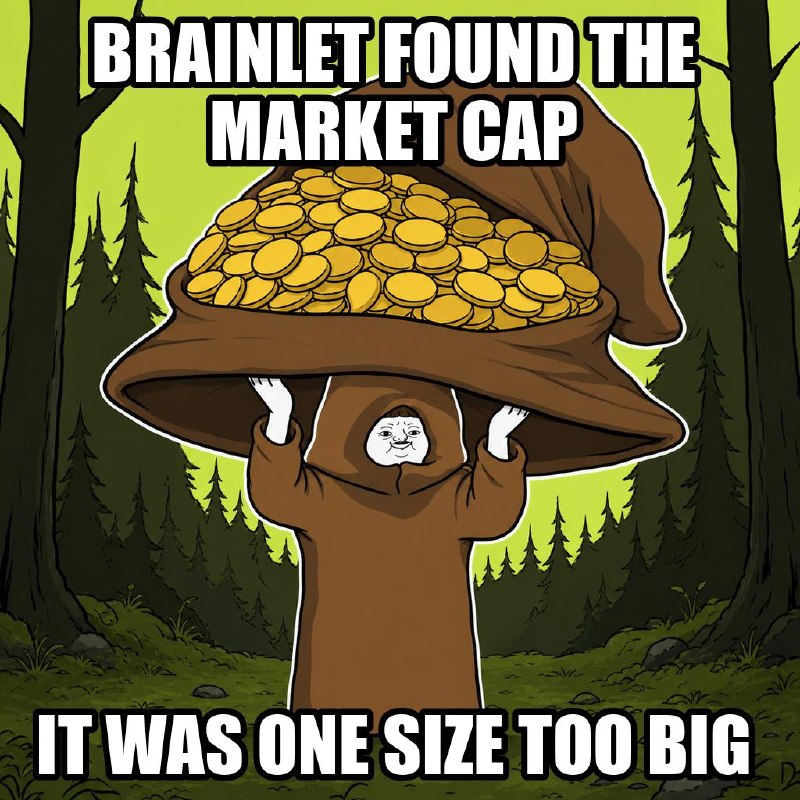 Meme: the Brainlet wears a giant hood full of gold coins. Caption: brainlet found the market cap, it was one size too big